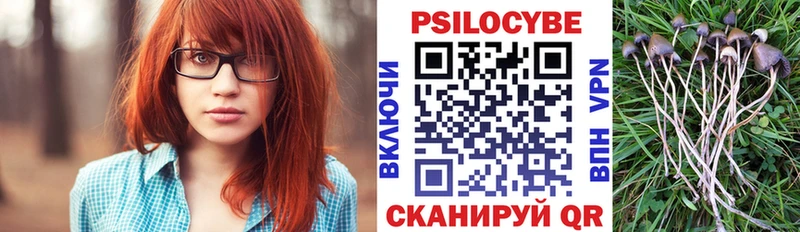Галлюциногенные грибы мицелий  Карабаш 